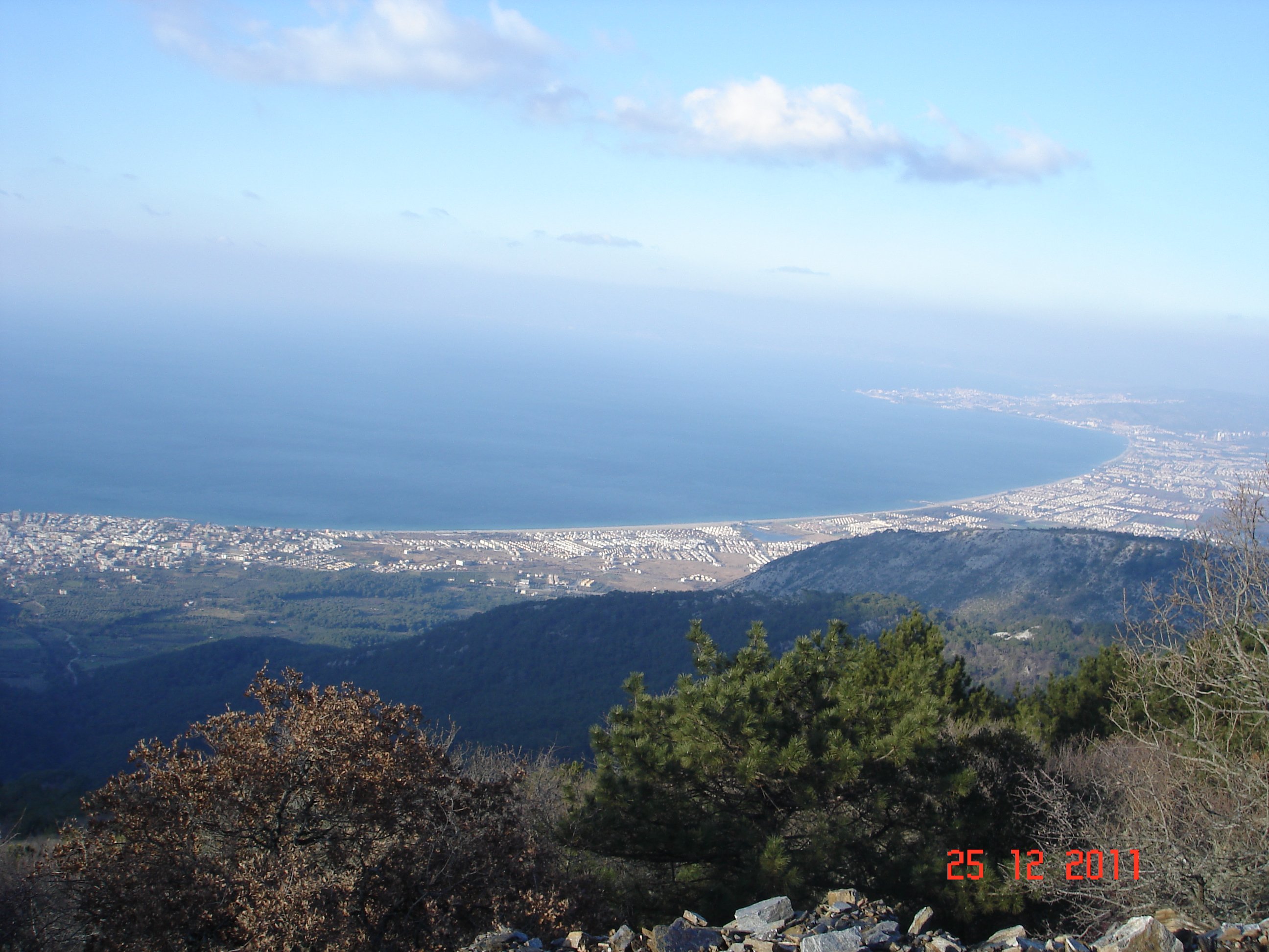 DSC06247.jpg