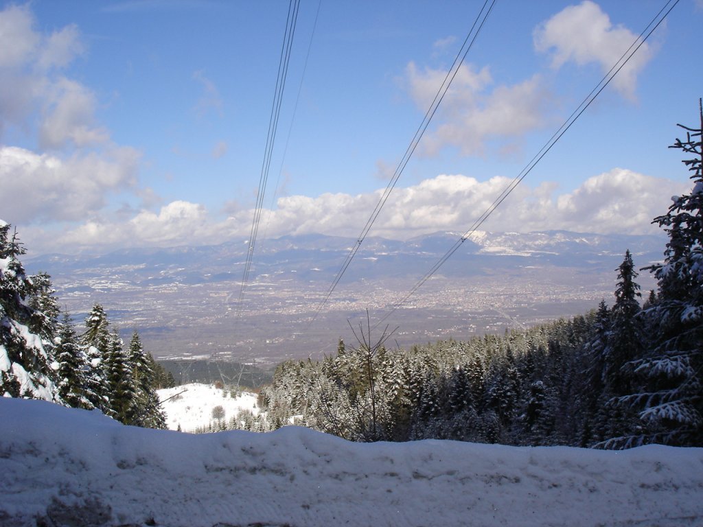 DSC06254.JPG