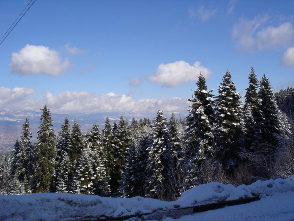 DSC06263.JPG