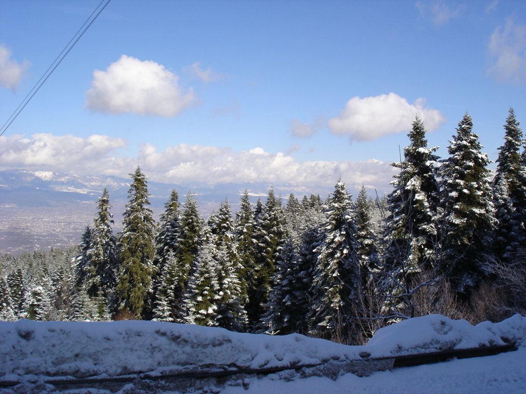 DSC06264.JPG