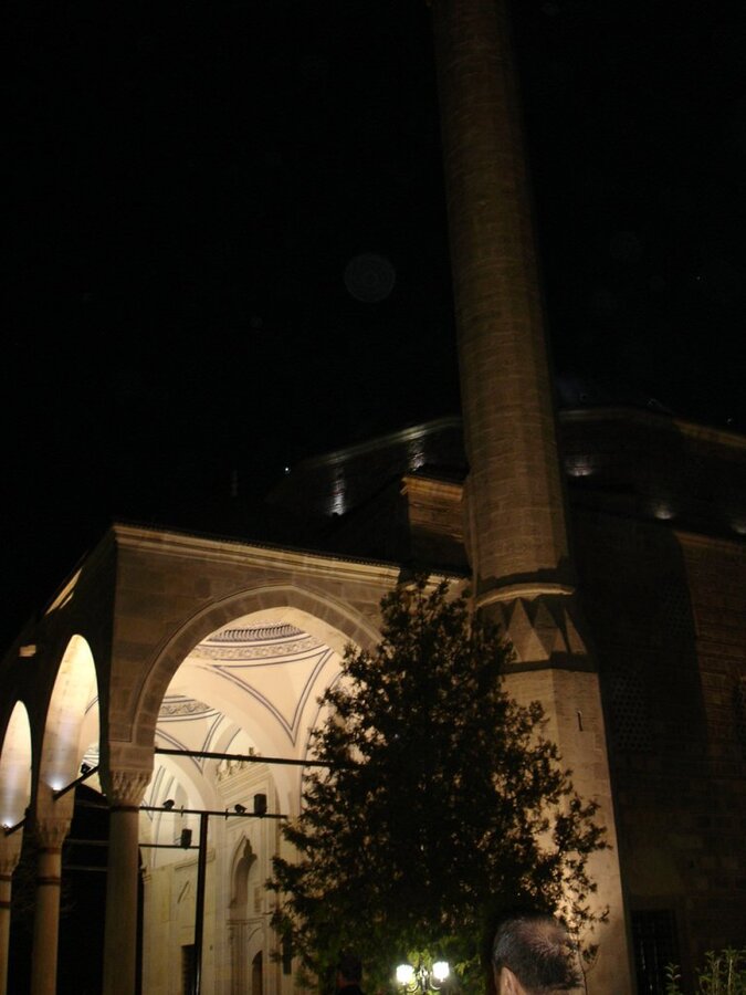 DSC06338.JPG