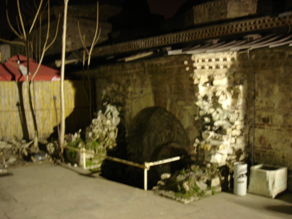DSC06348.JPG