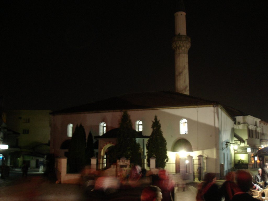 DSC06349.JPG