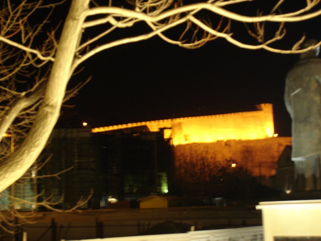 DSC06370.JPG