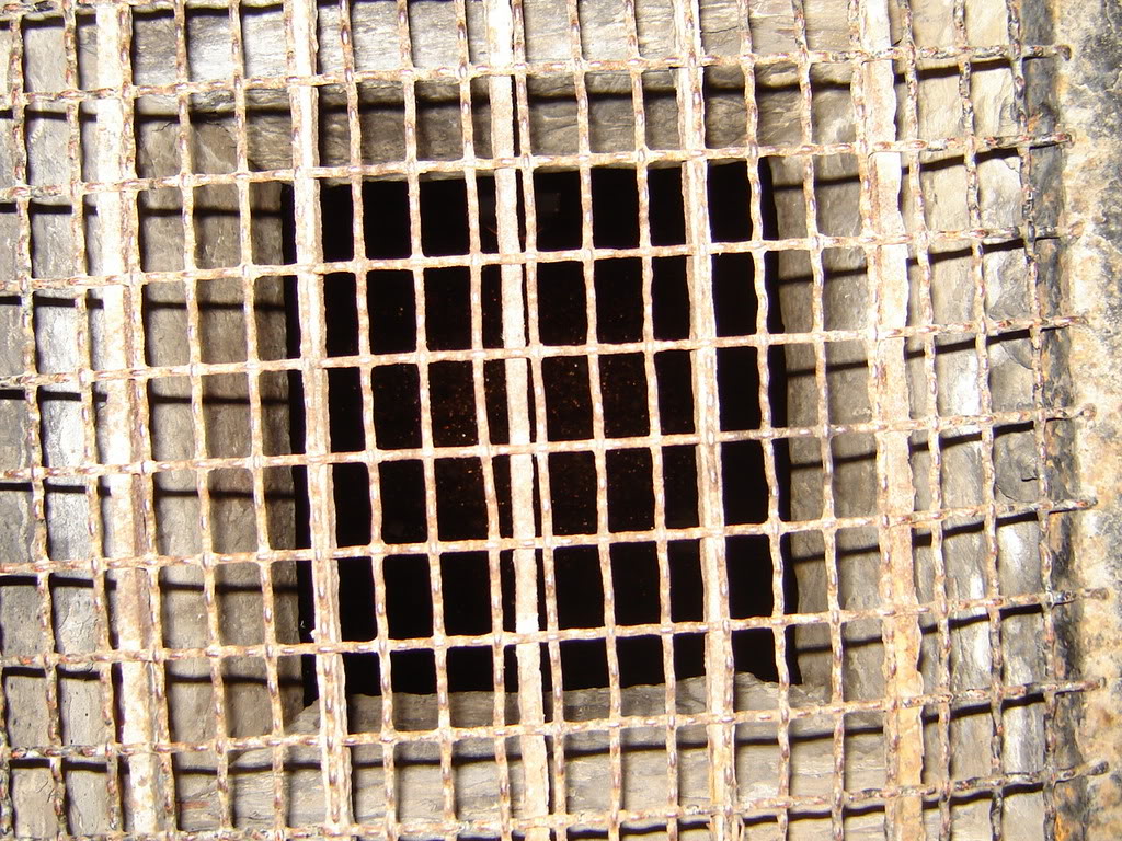 DSC06390.jpg