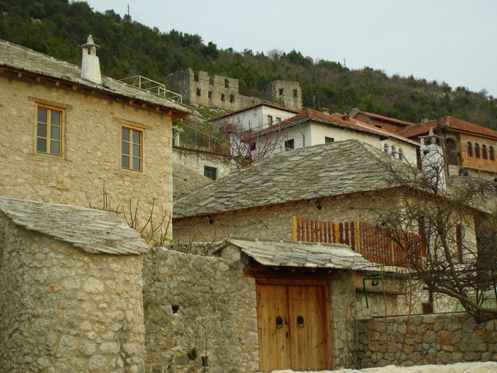 DSC06645.JPG