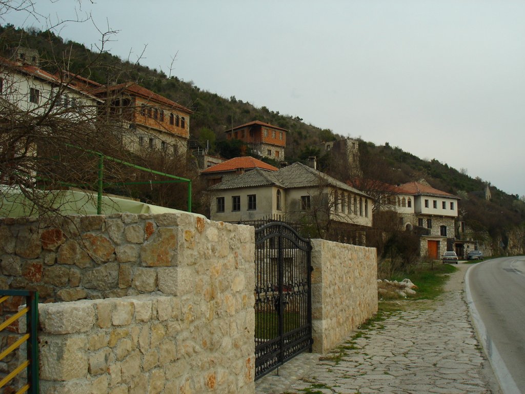 DSC06646.JPG