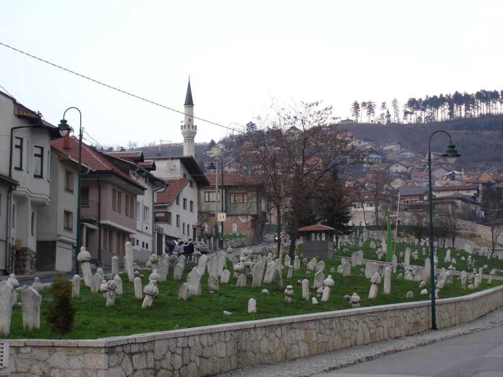 DSC06731.jpg