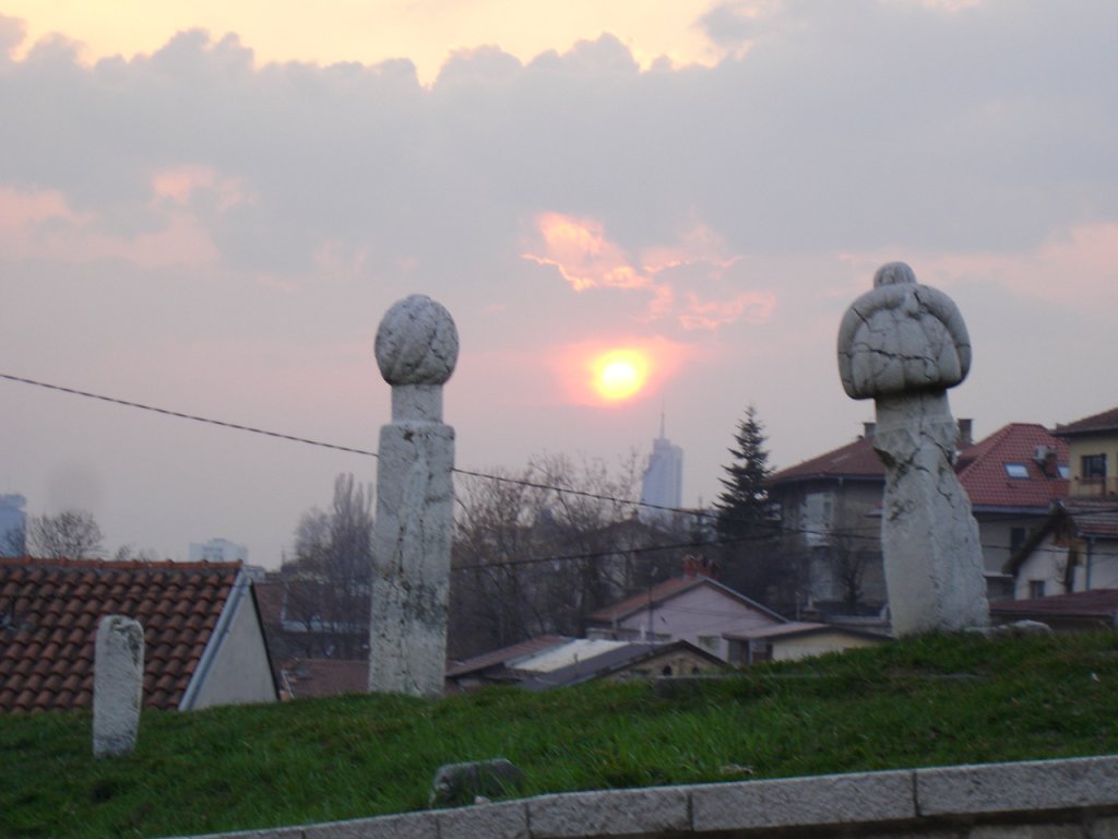 DSC06742.JPG