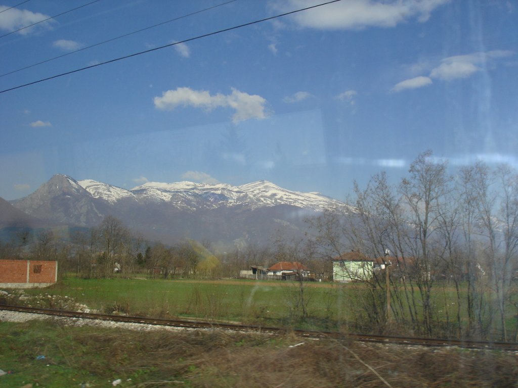 DSC06750.JPG