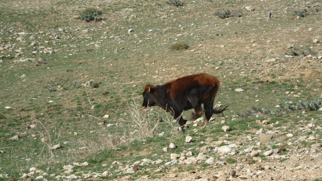 DSC06837.JPG