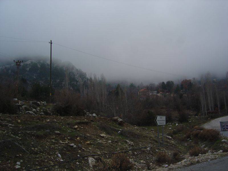 DSC06890.jpg
