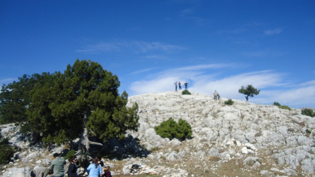 DSC06920.JPG