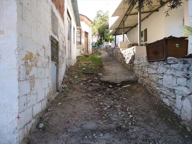 DSC06920.JPG