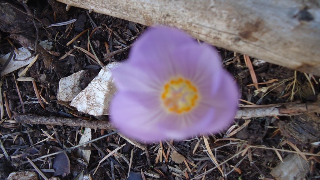 DSC06943.JPG