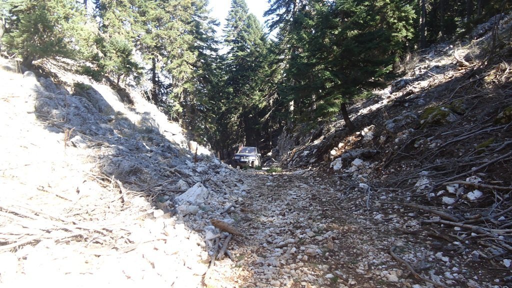 DSC06952.JPG