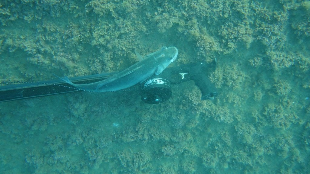 DSC06968.JPG