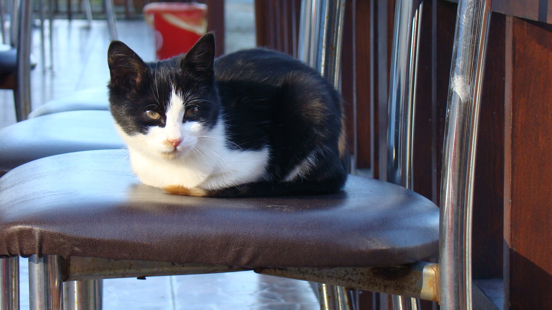 DSC06984.jpg
