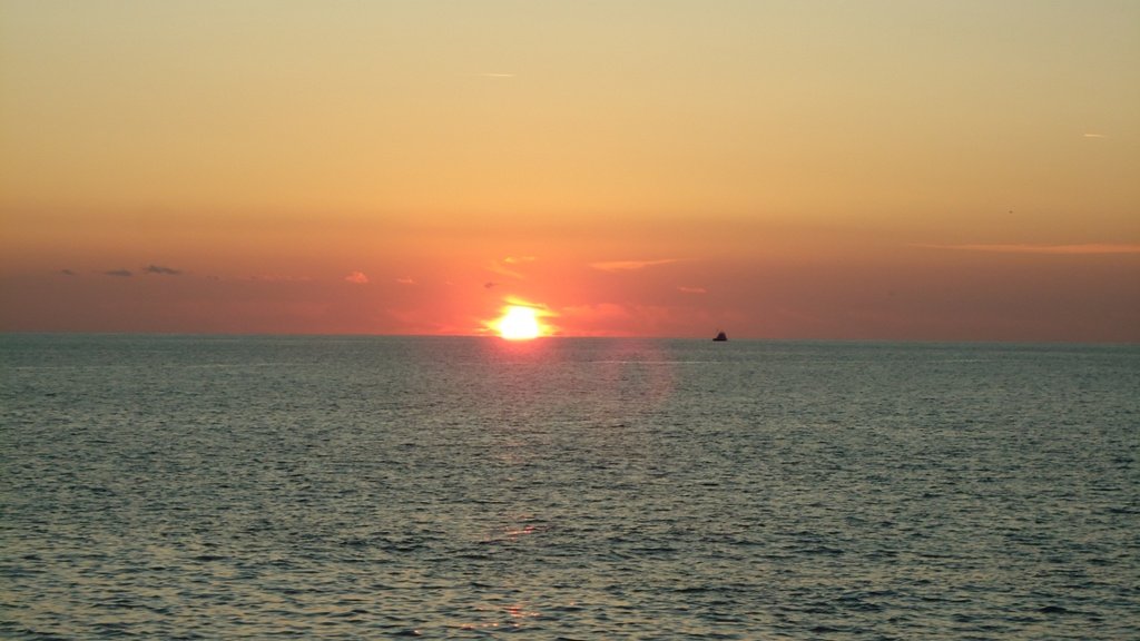DSC07039.JPG