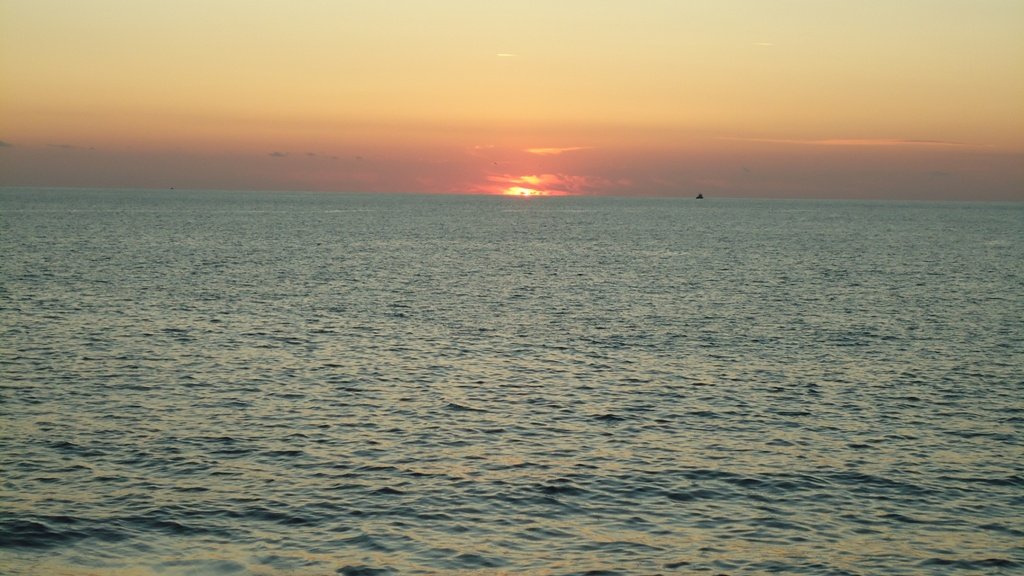 DSC07043.JPG