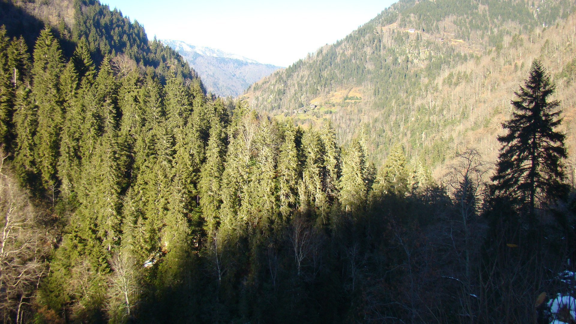 DSC07103.jpg