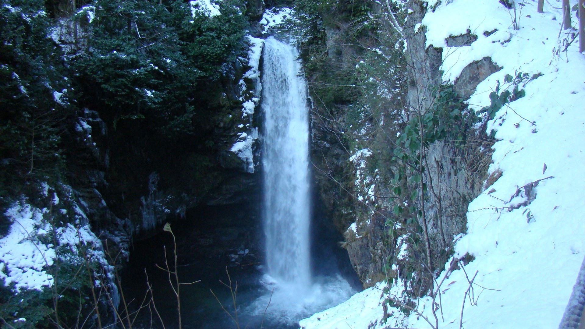 DSC07118.jpg