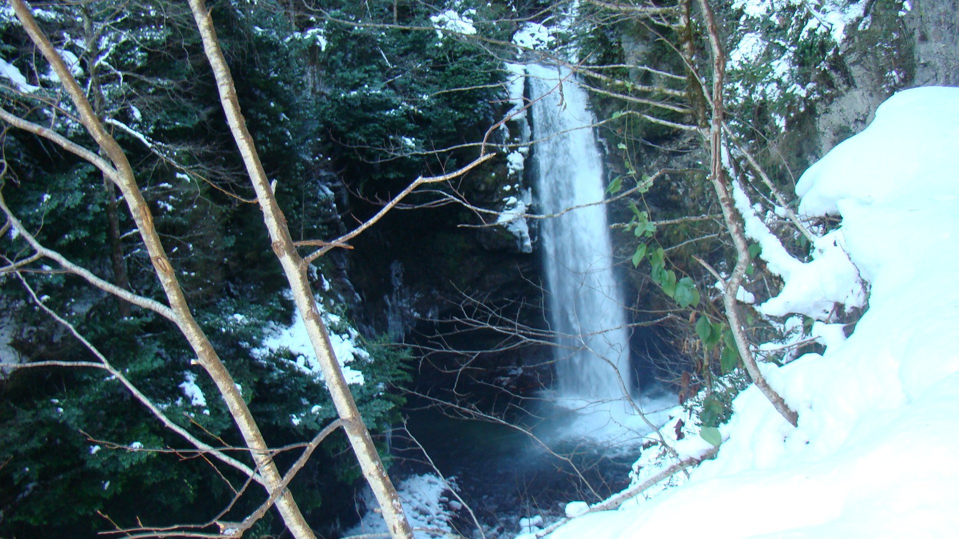 DSC07122.jpg