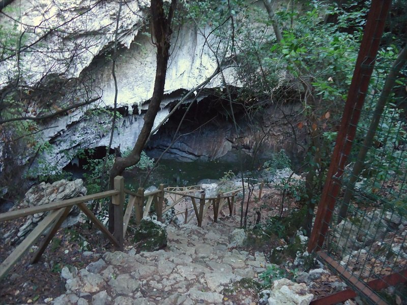 DSC07125.JPG