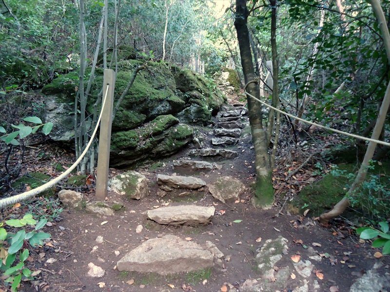 DSC07127.JPG