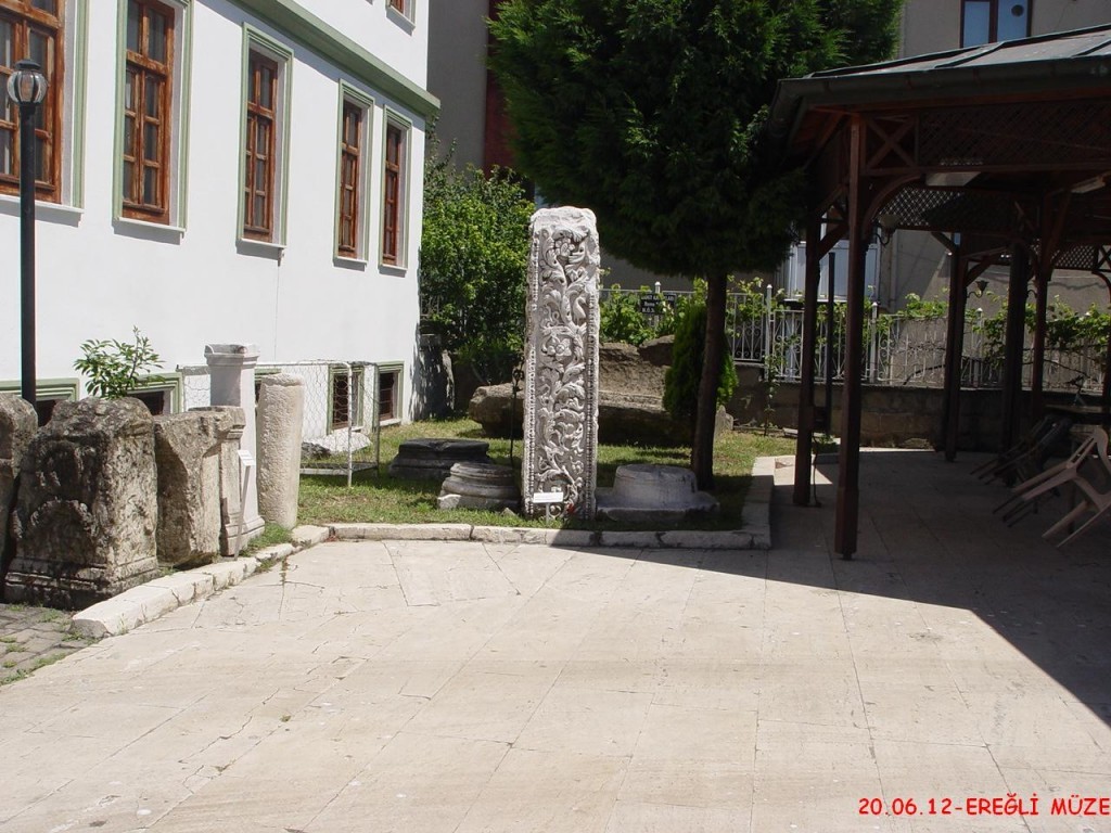 DSC07128.JPG