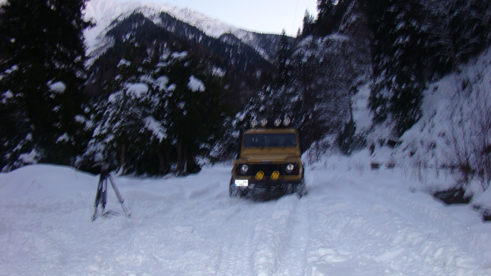 DSC07135.jpg