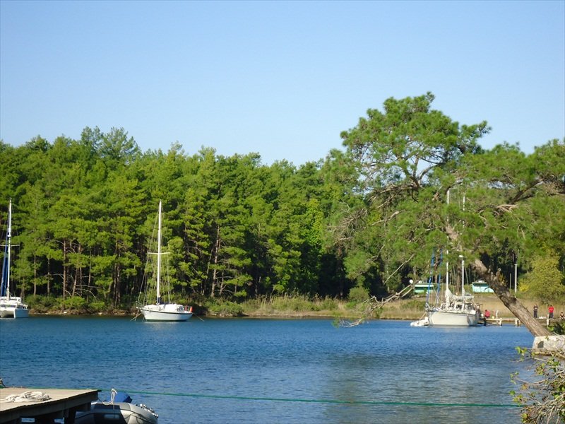 DSC07152.JPG