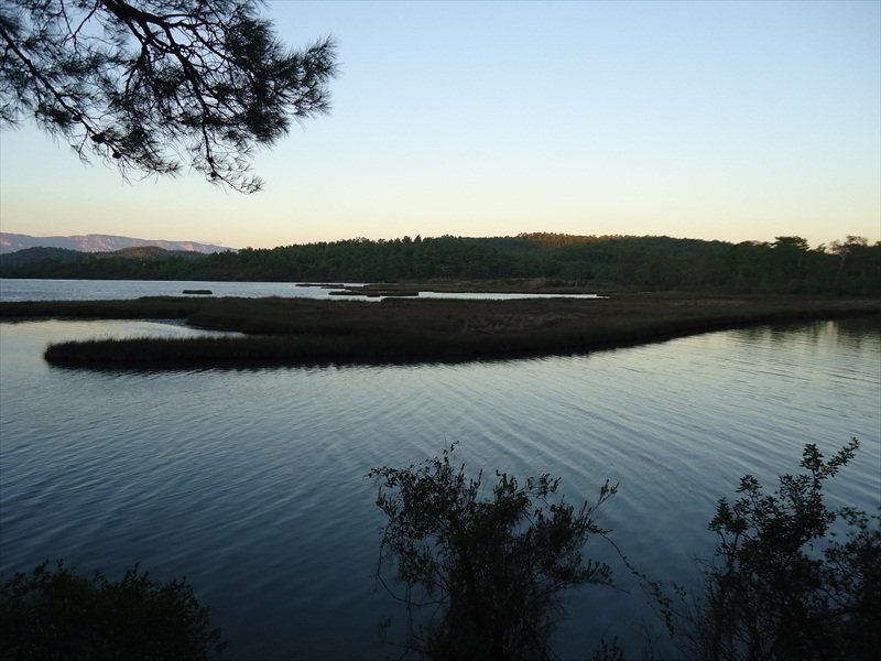 DSC07166.JPG