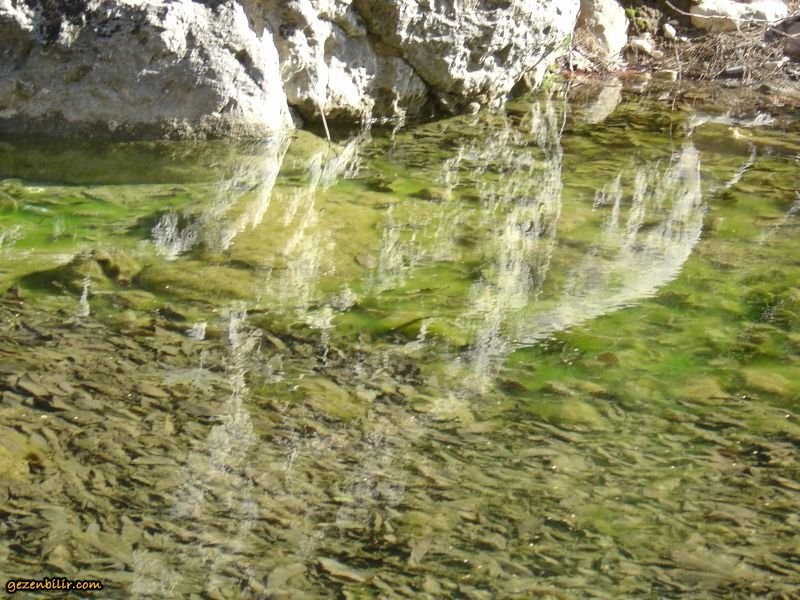 DSC07194.jpg