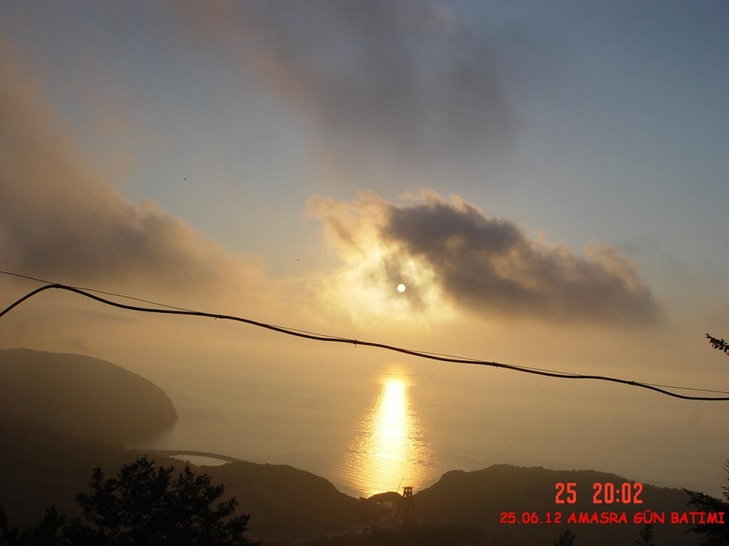 DSC07205.jpg