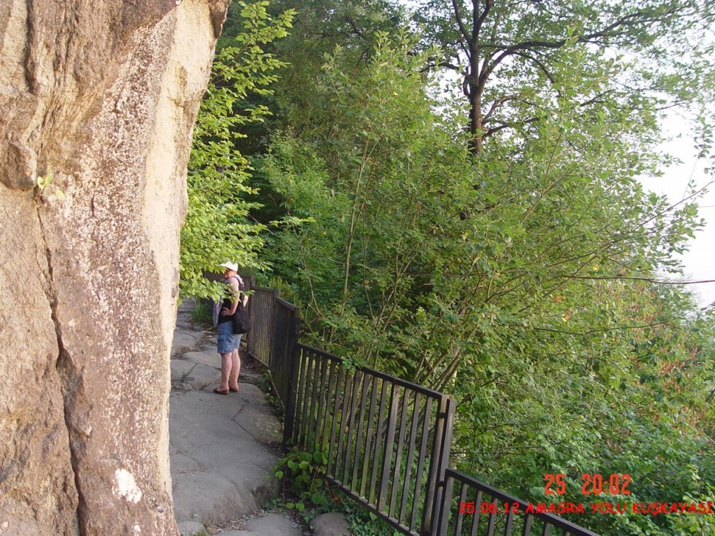 DSC07206.jpg