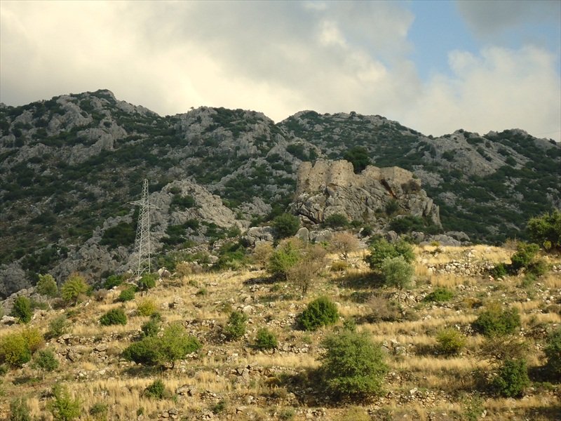 DSC07225.JPG