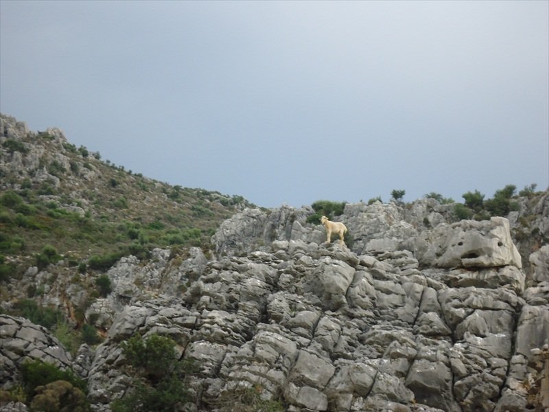 DSC07240.JPG