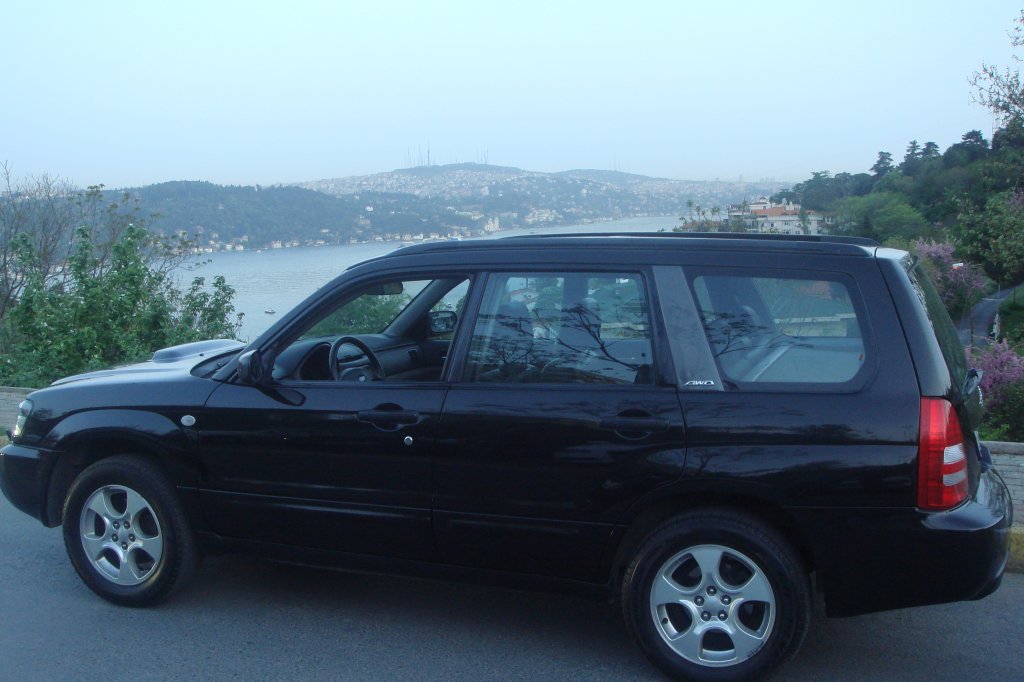 DSC07345.JPG