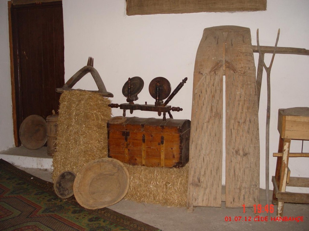 DSC07346.JPG