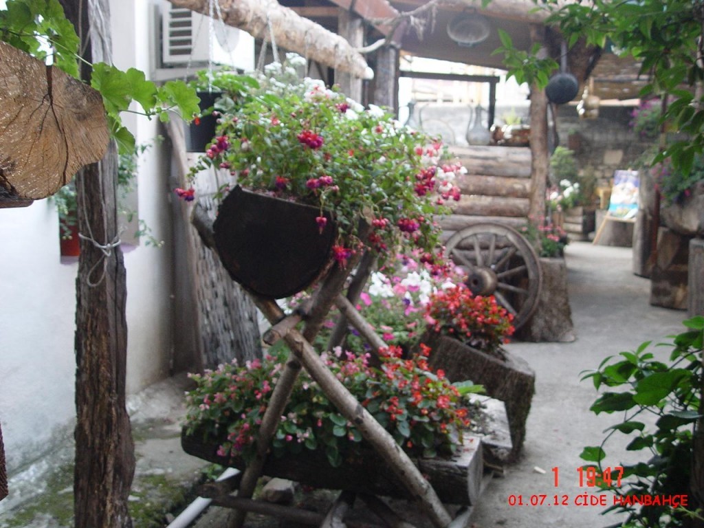 DSC07348.JPG