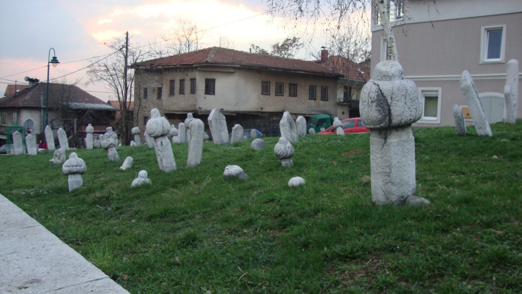 DSC07349.JPG