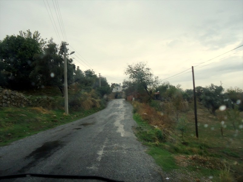 DSC07360.JPG