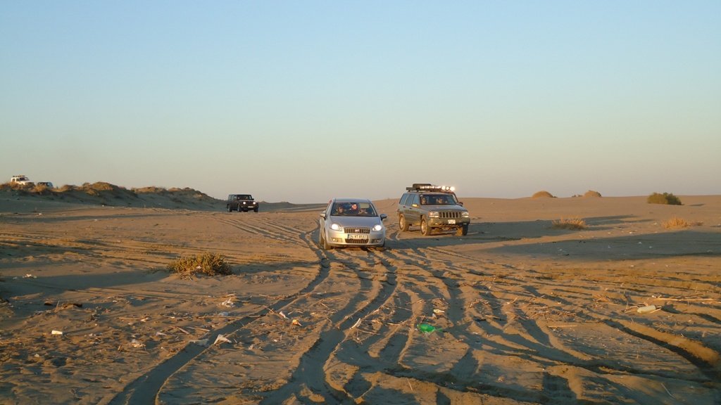 DSC07368.JPG