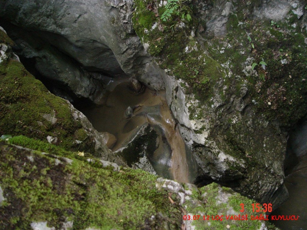 DSC07368.JPG