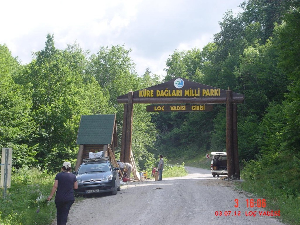 DSC07378.jpg