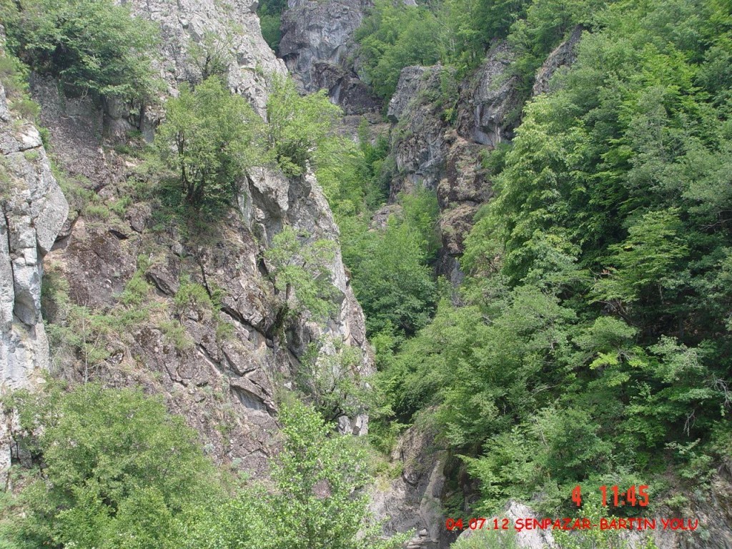 DSC07396.JPG