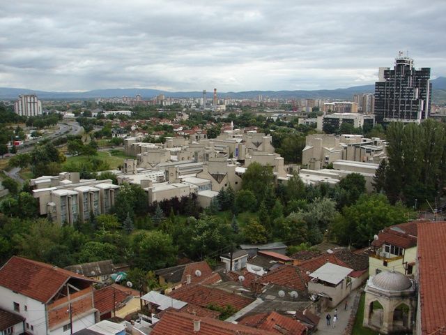 DSC07446.jpg