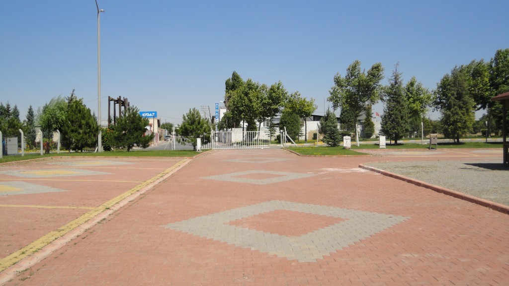 DSC07453.JPG
