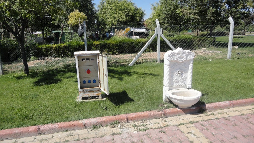 DSC07456.JPG